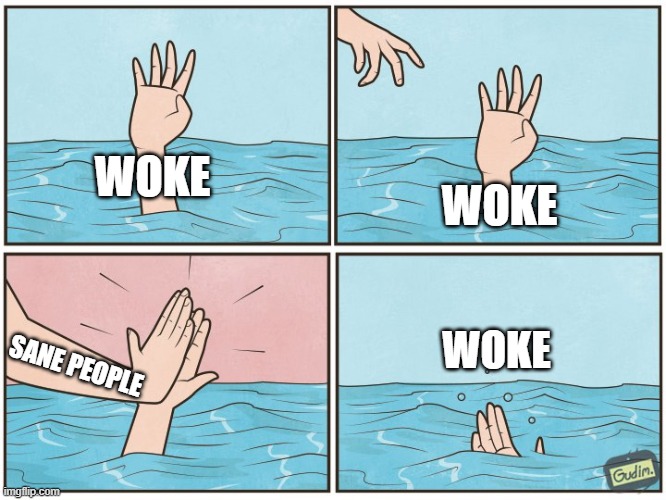 It's about time! | WOKE; WOKE; WOKE; SANE PEOPLE | image tagged in high five drown | made w/ Imgflip meme maker