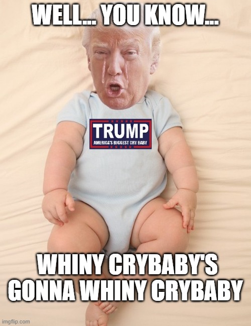Crying Trump Baby | WELL... YOU KNOW... WHINY CRYBABY'S GONNA WHINY CRYBABY | image tagged in crying trump baby | made w/ Imgflip meme maker