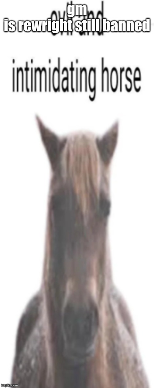 evil and intimidating horse | gm
is rewright still banned | image tagged in evil and intimidating horse | made w/ Imgflip meme maker