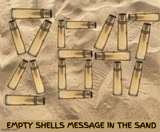 Shells in the sand | EMPTY SHELLS MESSAGE IN THE SAND | image tagged in shell game,paranoid,ak-47 shells,ear trim,clickbait,easily lead | made w/ Imgflip meme maker