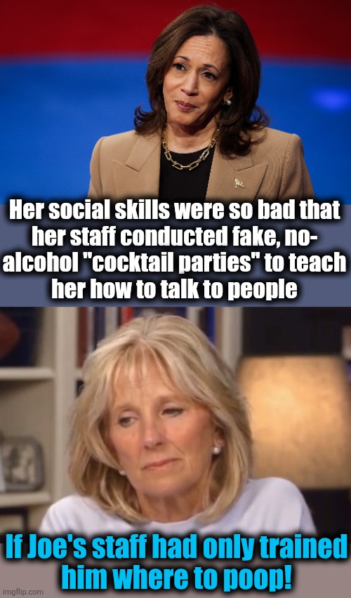 Muppets posing as president and VP, and we still don't know who was really in charge | Her social skills were so bad that
her staff conducted fake, no-
alcohol "cocktail parties" to teach
her how to talk to people; If Joe's staff had only trained
him where to poop! | image tagged in jill biden meme,kamala harris,cocktail parties,socially awkward vice president,democrats,memes | made w/ Imgflip meme maker