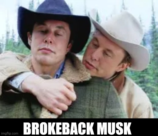 Horsey Rides | BROKEBACK MUSK | image tagged in brokeback mountain,elon musk,face swap,creepy,cowboy | made w/ Imgflip meme maker