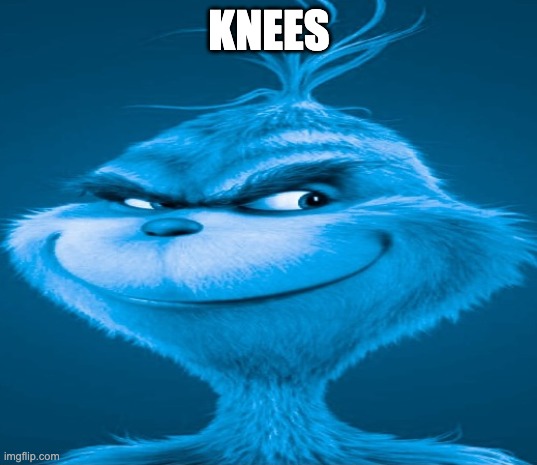 Blue Grinch | KNEES | image tagged in blue grinch | made w/ Imgflip meme maker