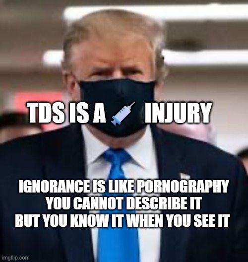 Trump Mask | TDS IS A💉 INJURY; IGNORANCE IS LIKE PORNOGRAPHY YOU CANNOT DESCRIBE IT BUT YOU KNOW IT WHEN YOU SEE IT | image tagged in trump mask | made w/ Imgflip meme maker