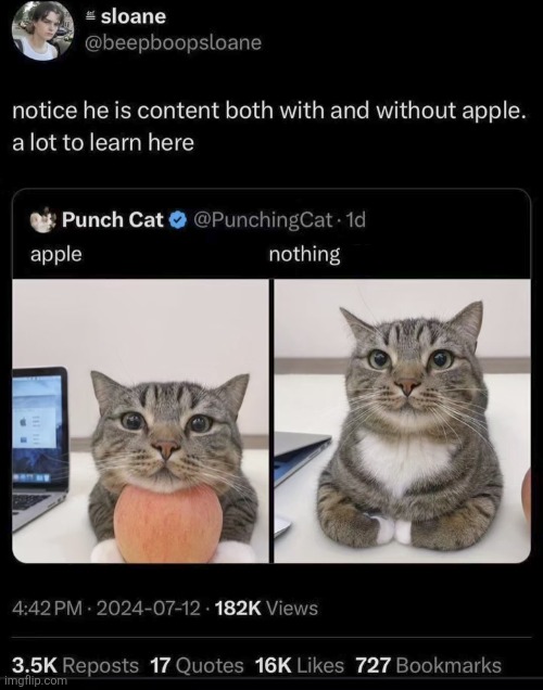 image tagged in memes,shitpost,oh wow are you actually reading these tags | made w/ Imgflip meme maker