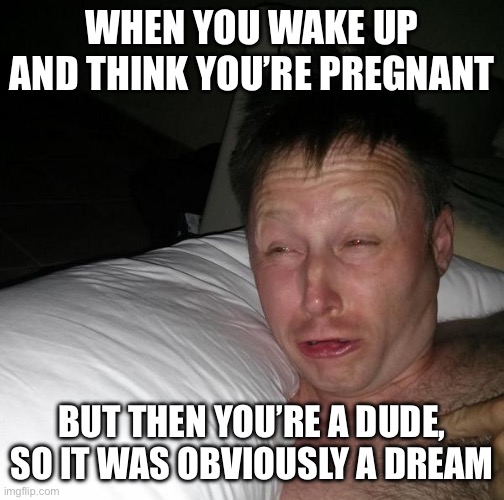 Gaaaaaaah | WHEN YOU WAKE UP AND THINK YOU’RE PREGNANT; BUT THEN YOU’RE A DUDE, SO IT WAS OBVIOUSLY A DREAM | image tagged in limmy waking up | made w/ Imgflip meme maker