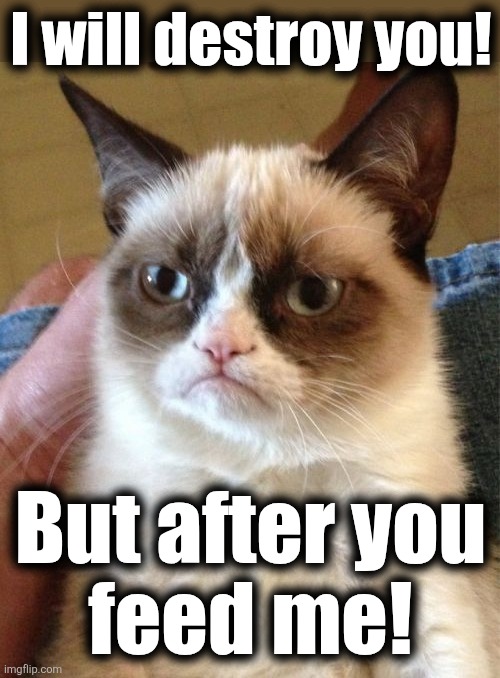 Grumpy Cat Meme | I will destroy you! But after you
feed me! | image tagged in memes,grumpy cat | made w/ Imgflip meme maker