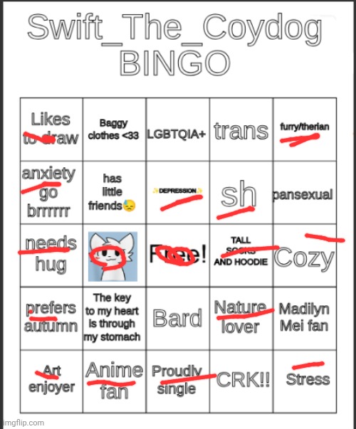 The tall socks is whenever I play soccer | image tagged in swift_the_coydog bingo | made w/ Imgflip meme maker