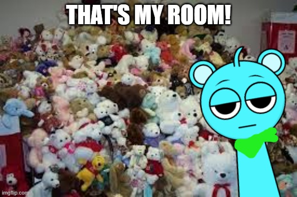 My room! | THAT'S MY ROOM! | image tagged in teddy bear hoarding | made w/ Imgflip meme maker