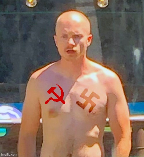 communist Neo Nazi | image tagged in american history wojack,communism,nazi | made w/ Imgflip meme maker
