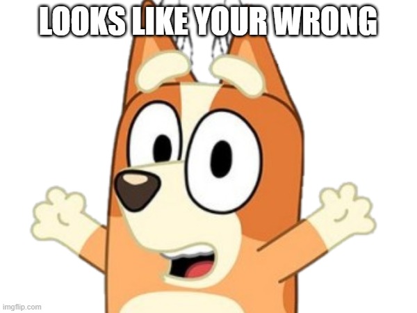 LOOKS LIKE YOUR WRONG | made w/ Imgflip meme maker