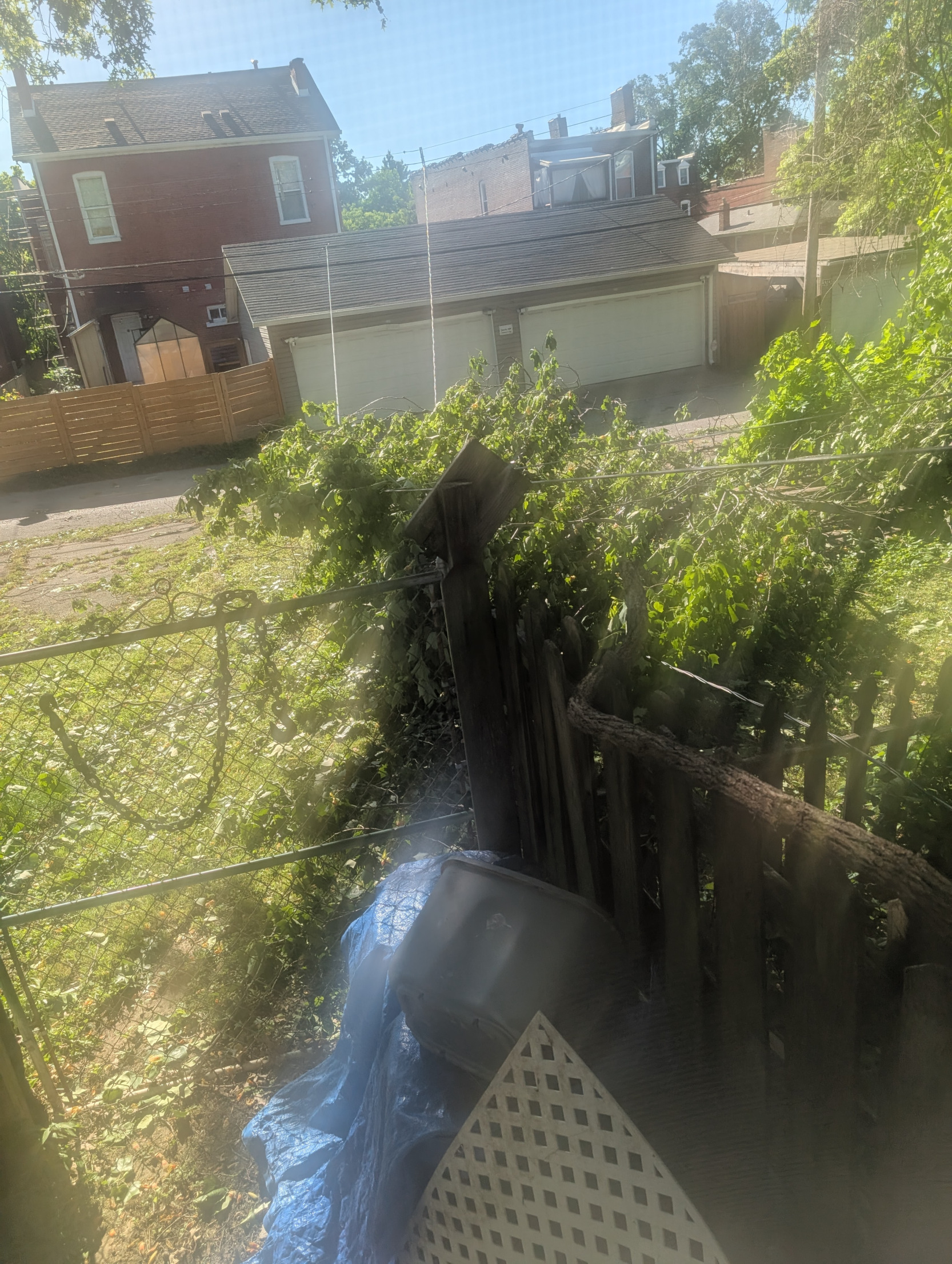Live powerlines in backyard Blank Meme Template