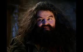 harry potter ps1 hagrid your a wizard