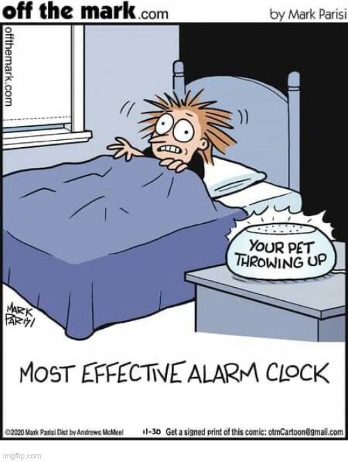 So true… | image tagged in comics,wake up,pet throwing up,unnerving,alarm clock | made w/ Imgflip meme maker