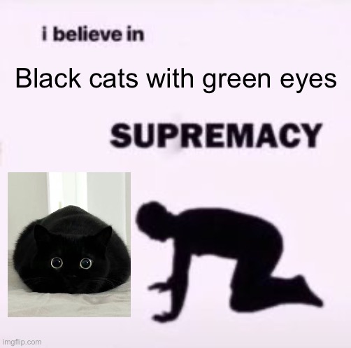 I believe in supremacy | Black cats with green eyes | image tagged in i believe in supremacy | made w/ Imgflip meme maker