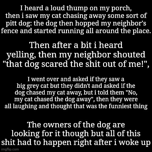 I heard a loud thump on my porch, then i saw my cat chasing away some sort of pitt dog: the dog then hopped my neighbor's fence and started running all around the place. Then after a bit i heard yelling, then my neighbor shouted "that dog scared the shit out of me!", I went over and asked if they saw a big grey cat but they didn't and asked if the dog chased my cat away, but i told them "No, my cat chased the dog away", then they were all laughing and thought that was the funniest thing; The owners of the dog are looking for it though but all of this shit had to happen right after i woke up | made w/ Imgflip meme maker