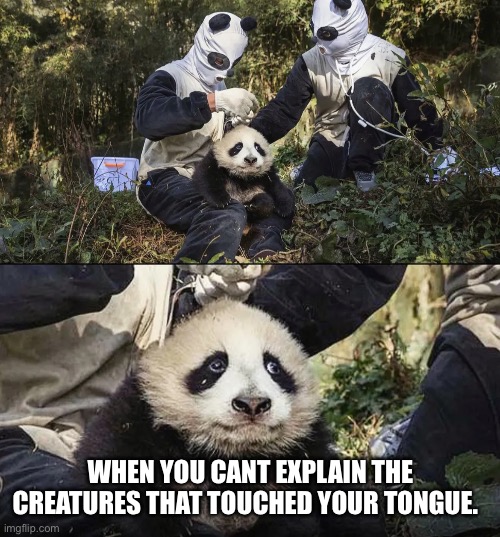 Violated by aliens | WHEN YOU CANT EXPLAIN THE CREATURES THAT TOUCHED YOUR TONGUE. | image tagged in being questionable violated | made w/ Imgflip meme maker