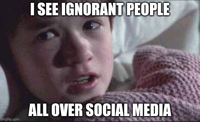 I See Dead People | I SEE IGNORANT PEOPLE; ALL OVER SOCIAL MEDIA | image tagged in memes,i see dead people | made w/ Imgflip meme maker