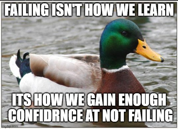 2nd variant of ai | FAILING ISN'T HOW WE LEARN; ITS HOW WE GAIN ENOUGH  CONFIDRNCE AT NOT FAILING | image tagged in memes,actual advice mallard,memedian//pay live dream meming,thxs20flws,_________ | made w/ Imgflip meme maker