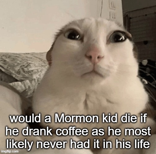 goober | would a Mormon kid die if he drank coffee as he most likely never had it in his life | image tagged in goober | made w/ Imgflip meme maker