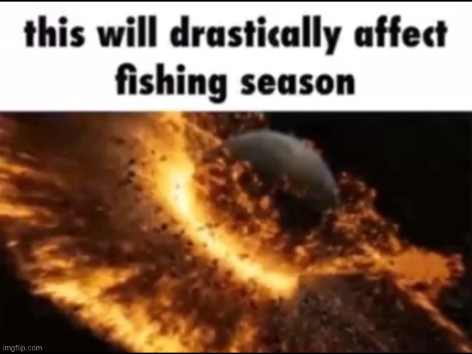 image tagged in fish | made w/ Imgflip meme maker