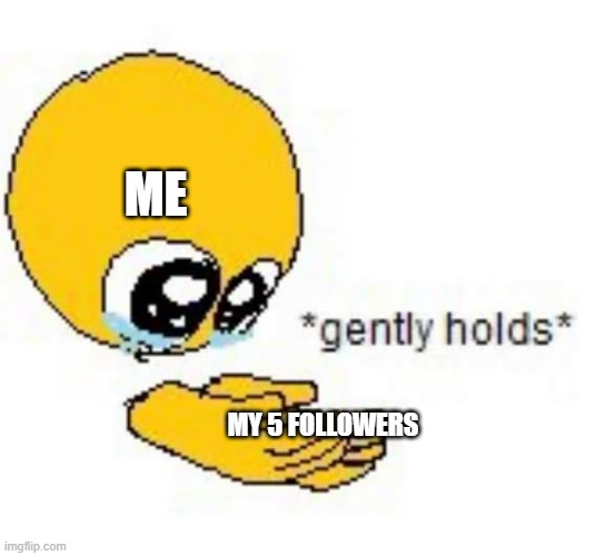 This is actually amazing | ME; MY 5 FOLLOWERS | image tagged in gently holds emoji | made w/ Imgflip meme maker