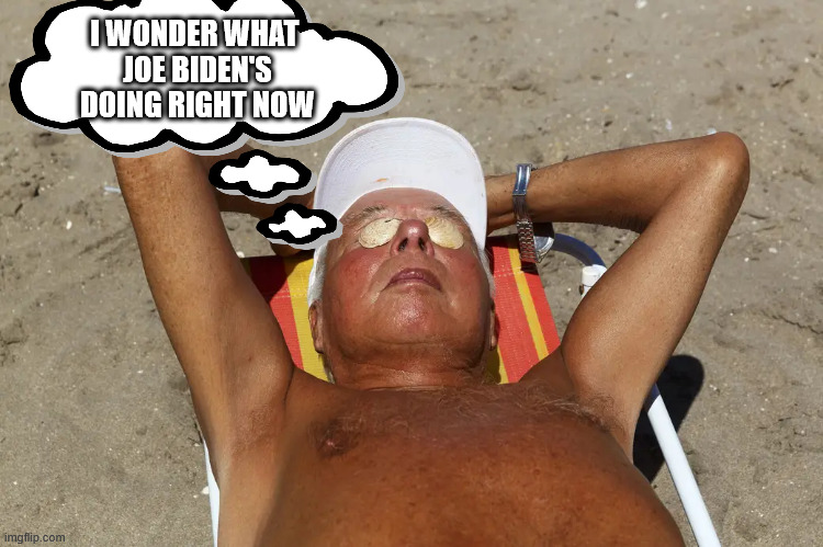 I wonder | I WONDER WHAT 
JOE BIDEN'S
DOING RIGHT NOW | image tagged in sometimes i wonder | made w/ Imgflip meme maker