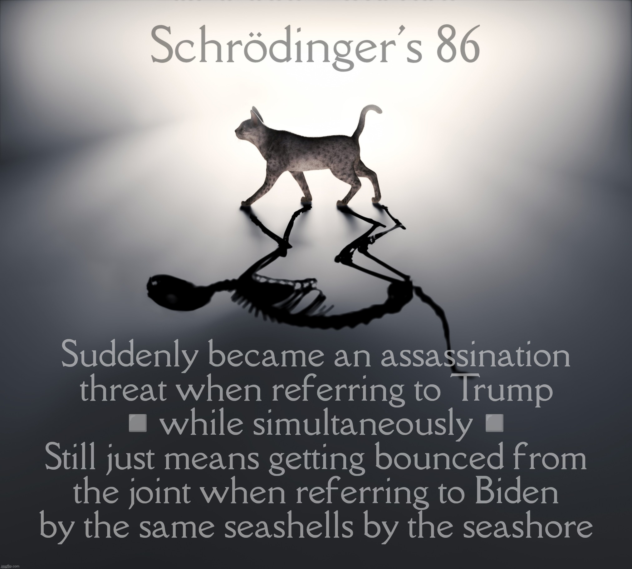 Schrodinger's Cat | Schrödinger's 86; Suddenly became an assassination
threat when referring to Trump
◽while simultaneously◽
Still just means getting bounced from the joint when referring to Biden
by the same seashells by the seashore | image tagged in schrodinger's cat | made w/ Imgflip meme maker
