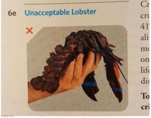 image tagged in lobster | made w/ Imgflip meme maker