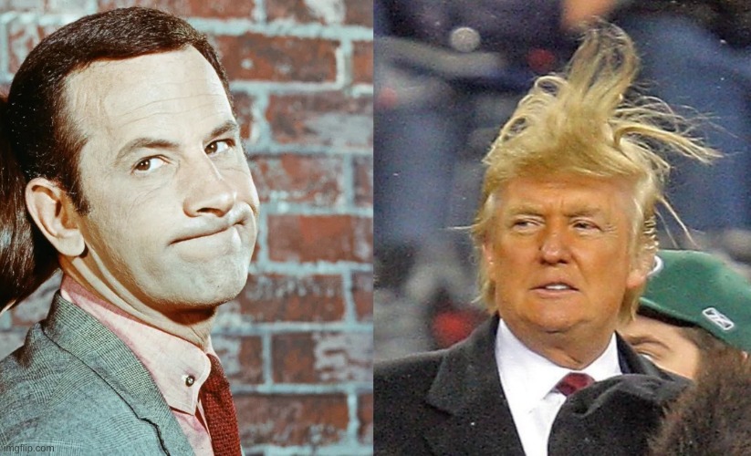 Rebus | image tagged in donald trumph hair,maxwell smart | made w/ Imgflip meme maker