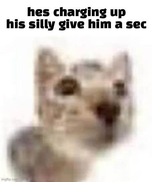 Silly :3 | hes charging up his silly give him a sec | image tagged in cat low quality | made w/ Imgflip meme maker