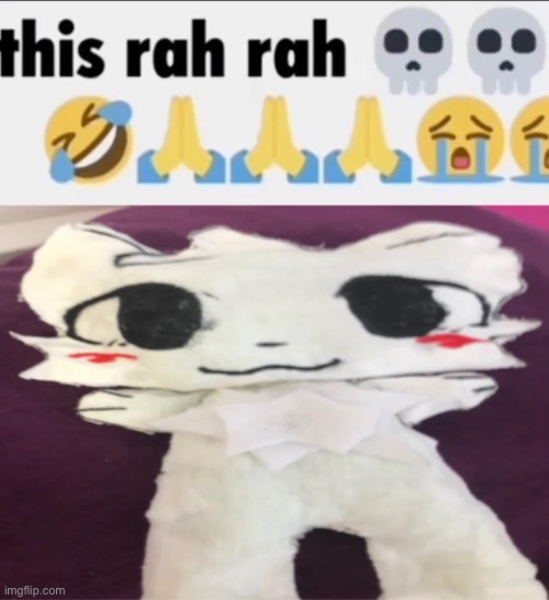 Him | image tagged in boykisser,silly cat | made w/ Imgflip meme maker