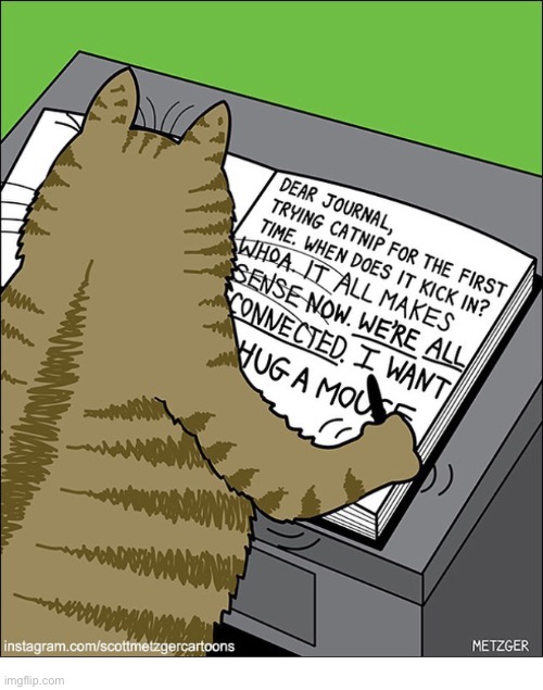 “The ‘Nip” hits some cats harder than others… | image tagged in cats,comics,catnip,first time | made w/ Imgflip meme maker