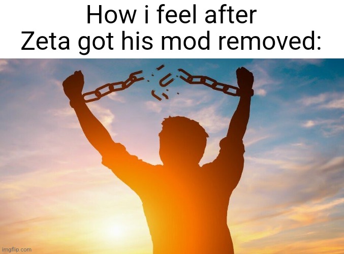 Breaking chains | How i feel after Zeta got his mod removed: | image tagged in breaking chains | made w/ Imgflip meme maker