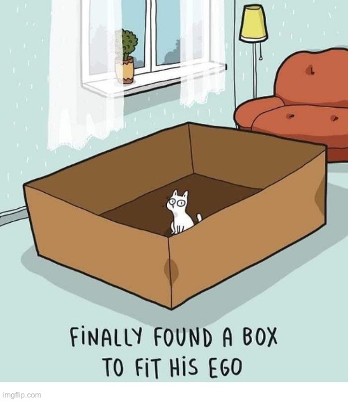 image tagged in cats,big box,big ego | made w/ Imgflip meme maker