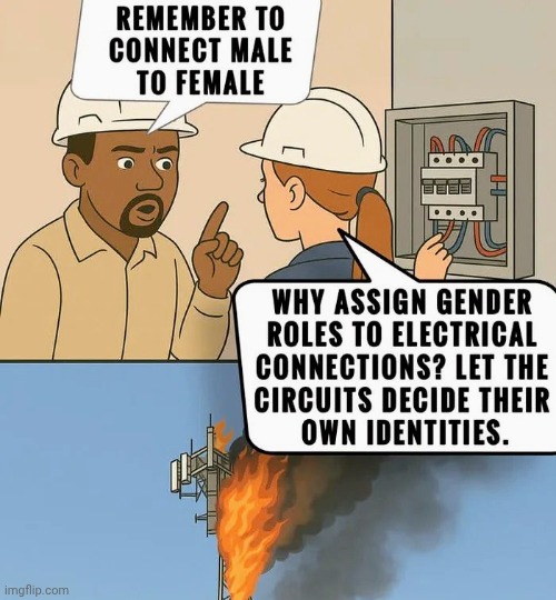 DEI doesn't work everywhere | image tagged in you know the rules and so do i,apply cold water to burned area,i too like to live dangerously | made w/ Imgflip meme maker