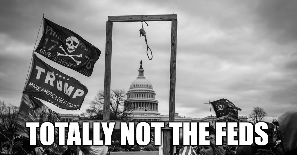 Capitol Hill riot gallows | TOTALLY NOT THE FEDS | image tagged in capitol hill riot gallows | made w/ Imgflip meme maker