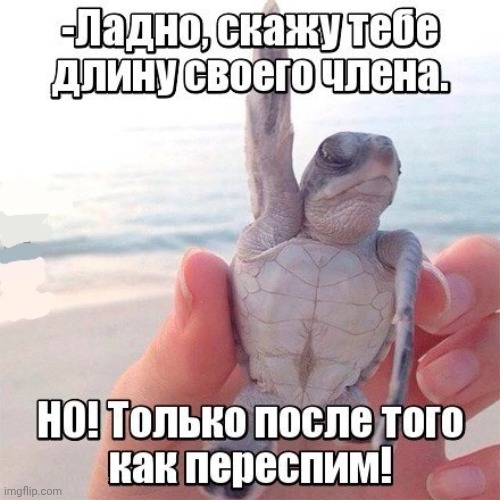 -A sleeping lime. | image tagged in foreign policy,hey you going to sleep,mega mind size,after all why not,bedroom,adult humor | made w/ Imgflip meme maker