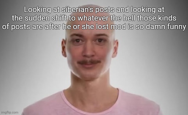 Bald Jimmyhere | Looking at siberian's posts and looking at the sudden shift to whatever the hell those kinds of posts are after he or she lost mod is so damn funny | image tagged in bald jimmyhere | made w/ Imgflip meme maker