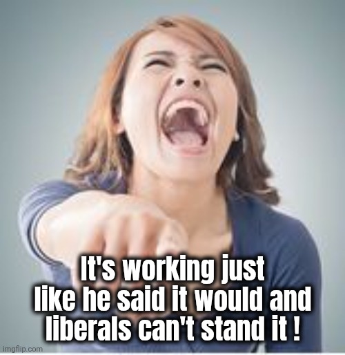 Laughing and pointing | It's working just like he said it would and liberals can't stand it ! | image tagged in laughing and pointing | made w/ Imgflip meme maker