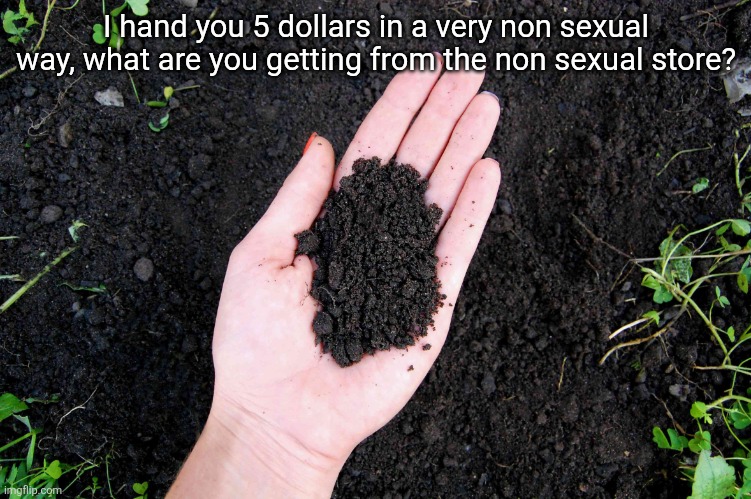 LOAM | I hand you 5 dollars in a very non sexual way, what are you getting from the non sexual store? | image tagged in loam | made w/ Imgflip meme maker