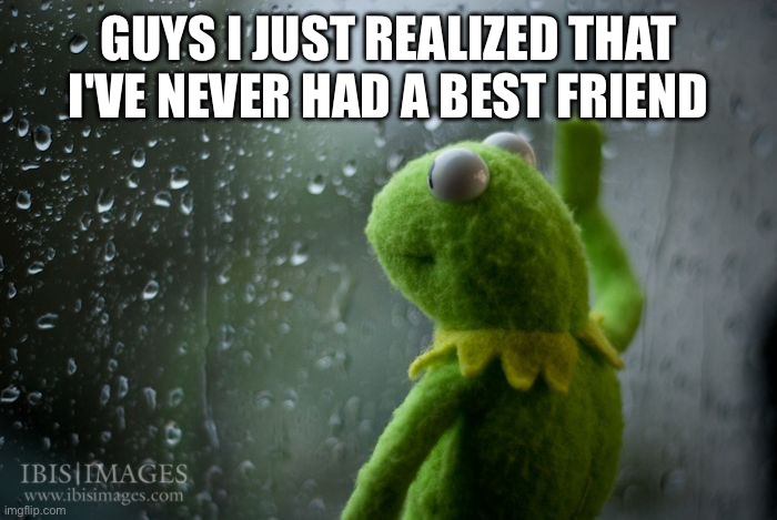 kermit window | GUYS I JUST REALIZED THAT I'VE NEVER HAD A BEST FRIEND | image tagged in kermit window | made w/ Imgflip meme maker
