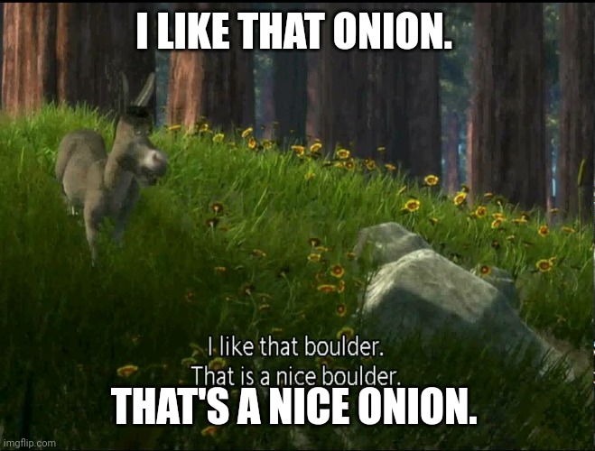 Shrek Donkey I like that boulder. that is a nice boulder. | I LIKE THAT ONION. THAT'S A NICE ONION. | image tagged in shrek donkey i like that boulder that is a nice boulder | made w/ Imgflip meme maker