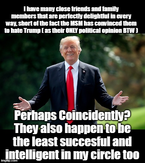 Observation? Revelation? (bet I'm not alone) | I have many close friends and family members that are perfectly delightful in every way, short of the fact the MSM has convinced them to hate Trump ( as their ONLY political opinion BTW ); Perhaps Coincidently?
They also happen to be the least succesful and intelligent in my circle too | image tagged in hate trump msm friends meme | made w/ Imgflip meme maker