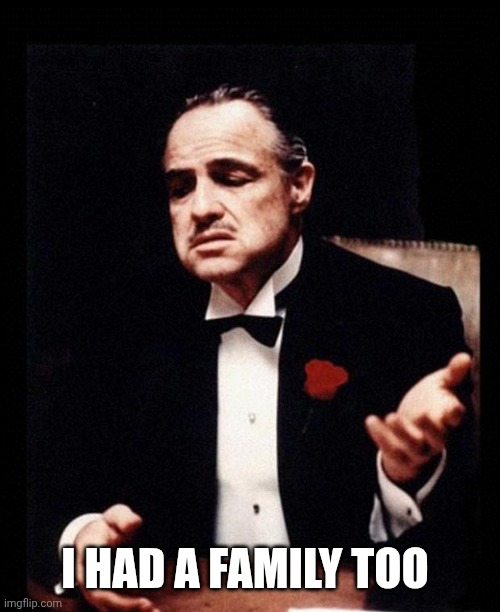 godfather | I HAD A FAMILY TOO | image tagged in godfather | made w/ Imgflip meme maker