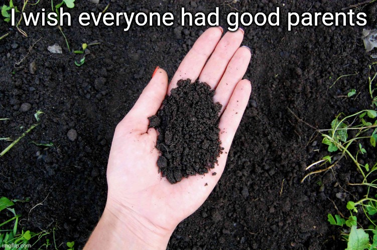 LOAM | I wish everyone had good parents | image tagged in loam | made w/ Imgflip meme maker