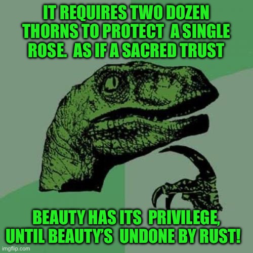 Philosoraptor Meme | IT REQUIRES TWO DOZEN THORNS TO PROTECT  A SINGLE ROSE.  AS IF A SACRED TRUST; BEAUTY HAS ITS  PRIVILEGE, UNTIL BEAUTY’S  UNDONE BY RUST! | image tagged in memes,philosoraptor | made w/ Imgflip meme maker