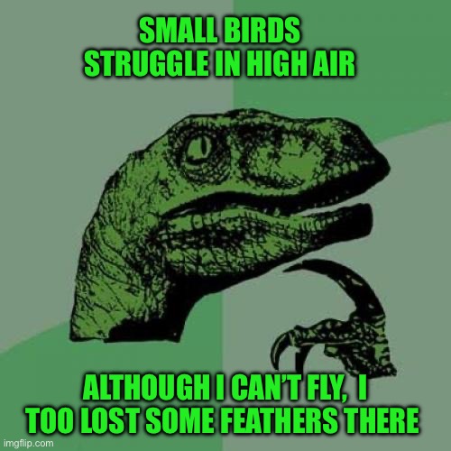 Philosoraptor Meme | SMALL BIRDS STRUGGLE IN HIGH AIR; ALTHOUGH I CAN’T FLY,  I TOO LOST SOME FEATHERS THERE | image tagged in memes,philosoraptor | made w/ Imgflip meme maker
