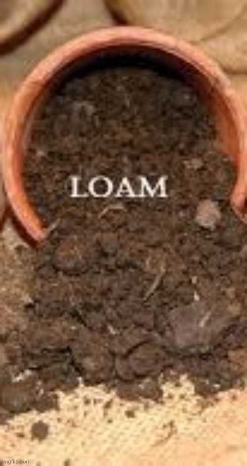 LOAM | image tagged in loam | made w/ Imgflip meme maker