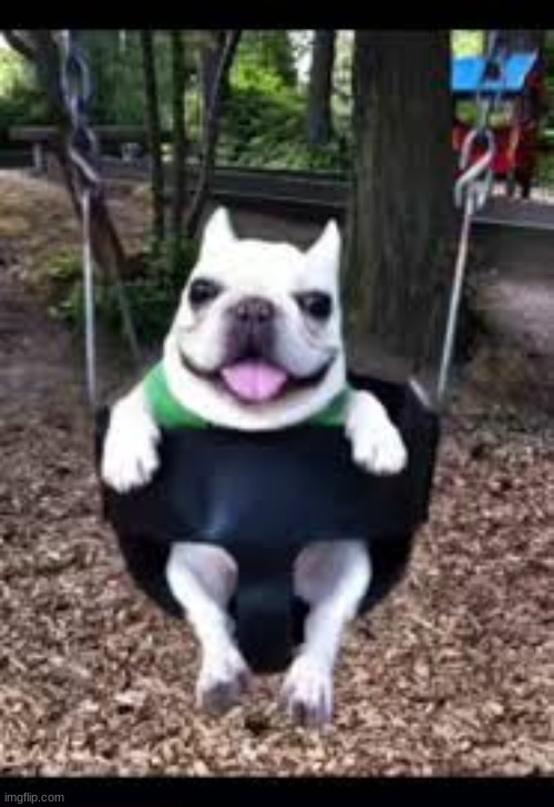 I BEAT MY DICK IN THE SHOWER | made w/ Imgflip meme maker